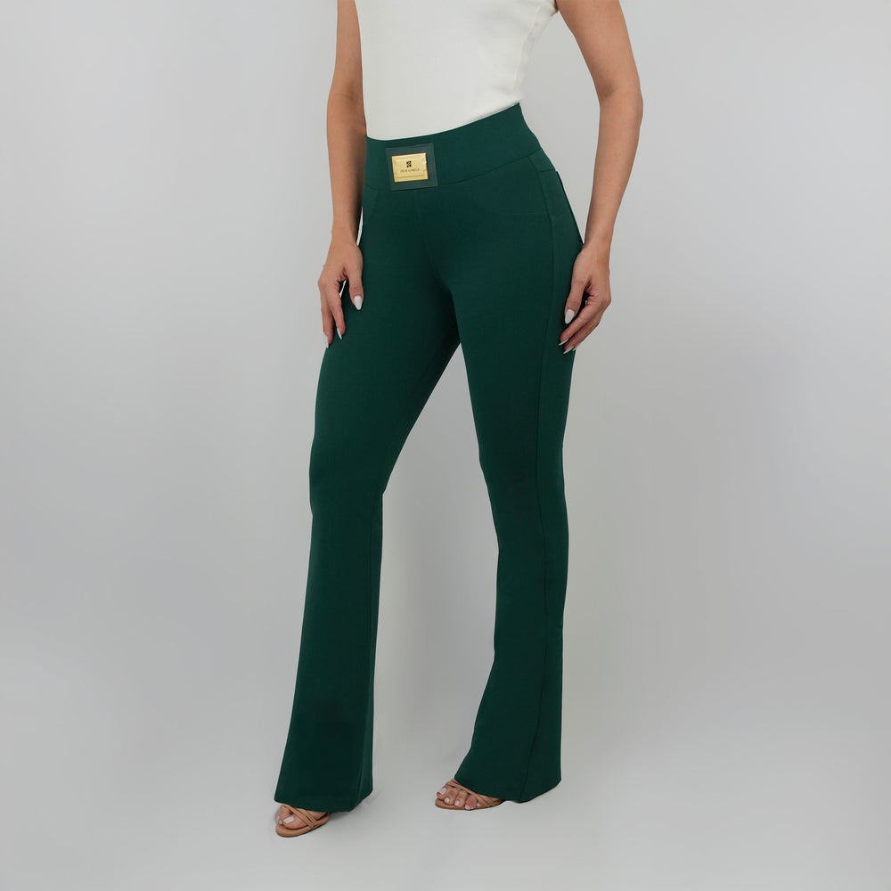 
                      
                        CALÇA FLARE (PLACA)
                      
                    